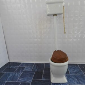 toilet