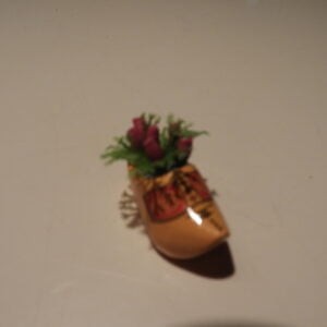 Klomp met tulpen