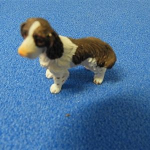 hond
