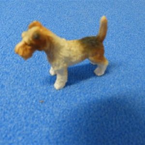 hond